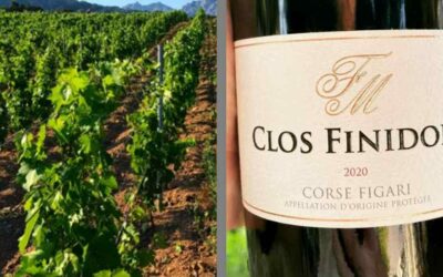 Clos Finidori – Rouge 2020