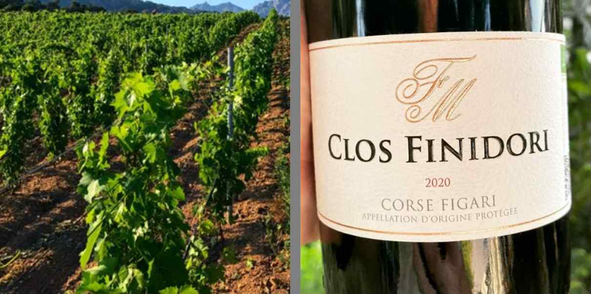 E croce rouge vin de corse