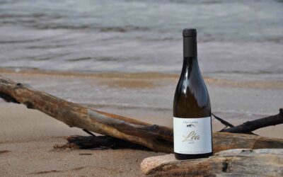 Clos Landry – Léa Blanc 2019