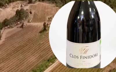 Clos Finidori – Rouge 2022