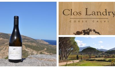 Domaine Clos Landry – Roche Mer Blanc 2020