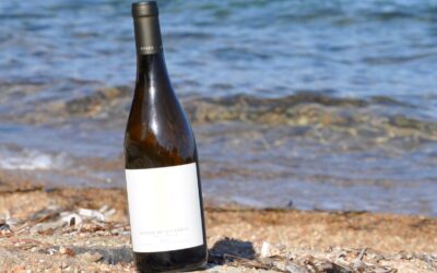 Domaine Buzzo Bunifazziu – Cuvée Rocca Gianca – Blanc 2023