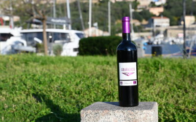 Domaine de Granajolo – Minustellu 2021