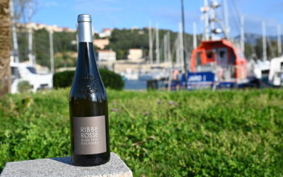 Clos Culombu  – Ribbe Rosse – Blanc 2022