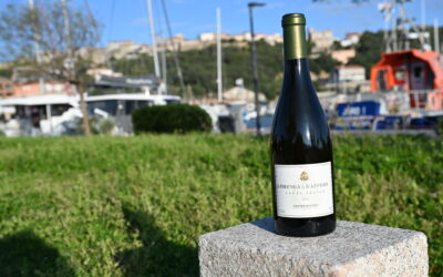 Domaine Orenga de Gaffory  – Felice – Blanc 2022