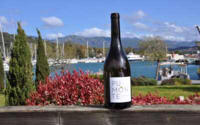 Domaine Alzipratu – Pumonte Blanc 2022