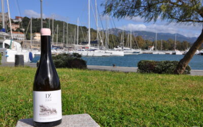 Domaine Zuria – Initiale Rosé 2023