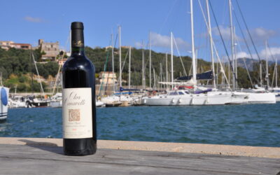 Clos Canarelli – Rouge 2022