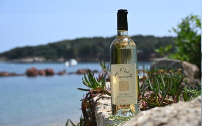 Clos Canarelli – Blanc 2024