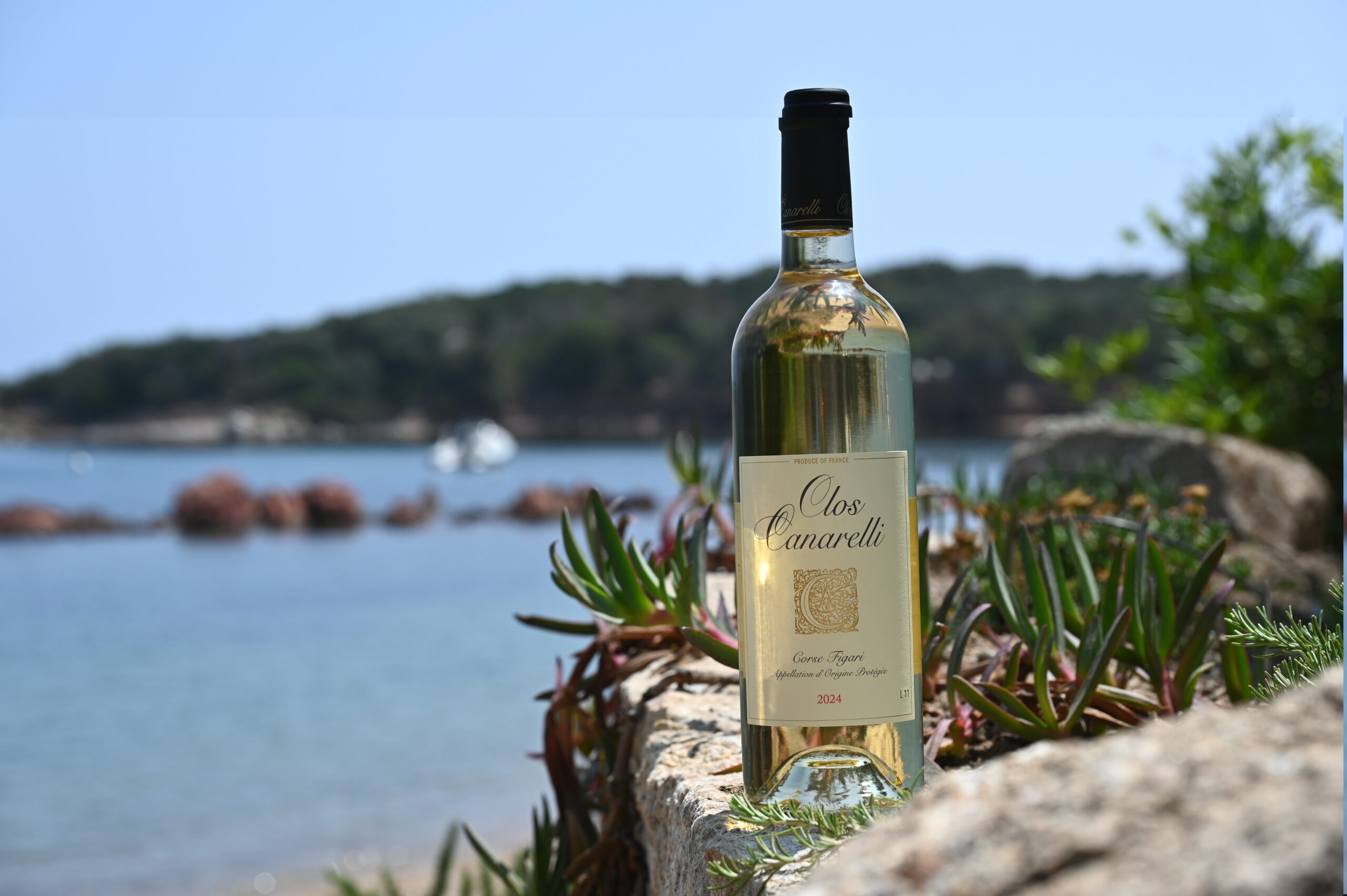 Vin Blanc Corse Clos Canarelli