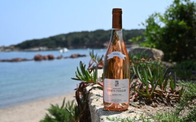 Domaine Comte Peraldi – Rosé- 2024