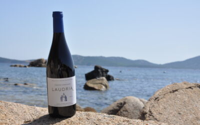 Domaine Mondange – Laudria – Rouge 2019