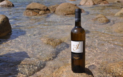 Domaine de Granajolo – J Blanc 2021