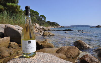 Domaine de Tanella – Clos Marc-Aurèle – Blanc 2022