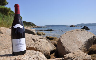 Domaine Comte Peraldi –  Rouge 2020