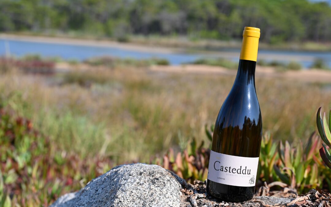 Domaine Saparale  – Casteddu – Blanc 2023