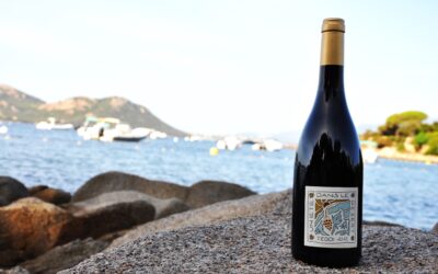 Clos Teddi – Un été dans le désert – Rouge 2023