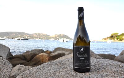 Domaine Paradella – Blanc 2023