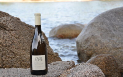 Clos Alivu – Blanc 2023