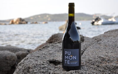 Domaine Alzipratu – Pumonte – Rouge 2021