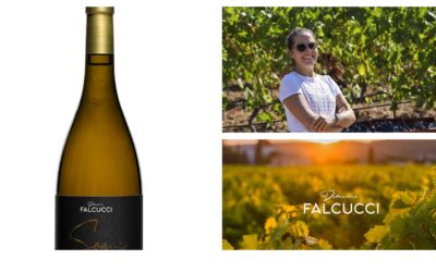 Domaine Falcucci- Cuvée Sognu- Blanc 2022