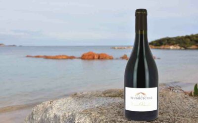 Domaine Fiumicicoli – Vassilia Rouge 2018