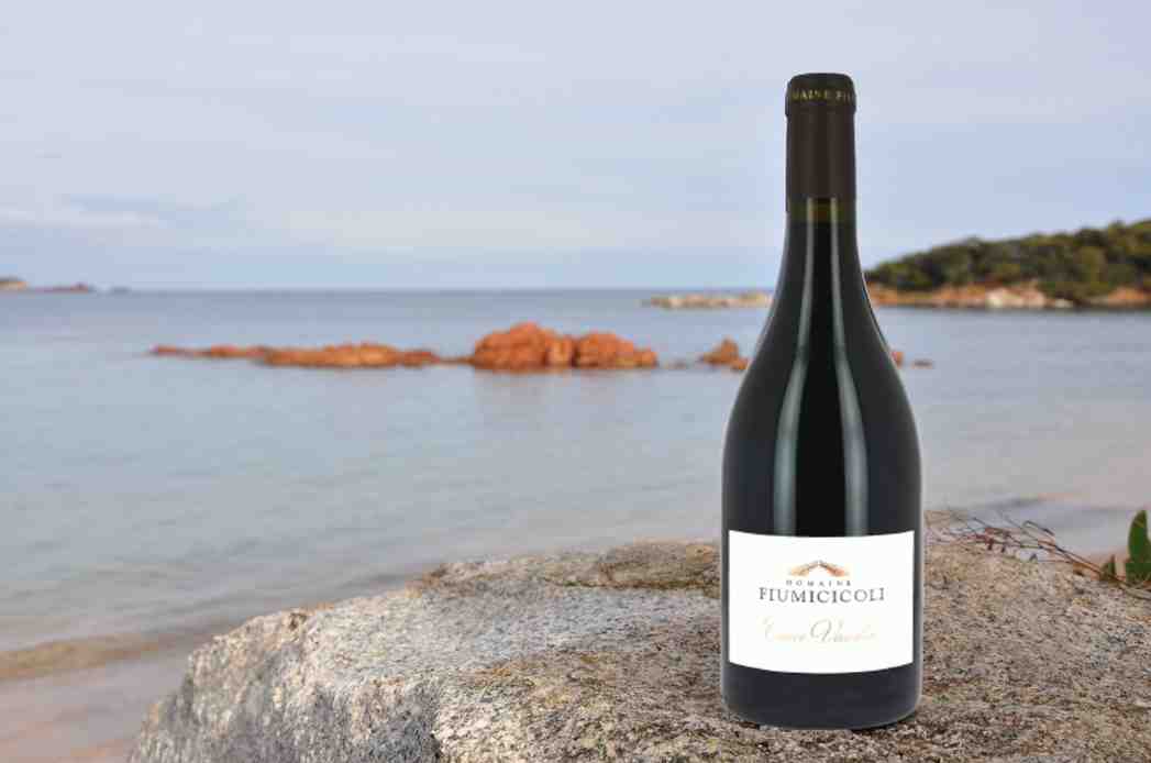 FIUMICICOLI VASSILIA ROUGE plage