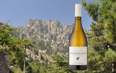 Domaine Mondange – Spargolato Blanc 2019