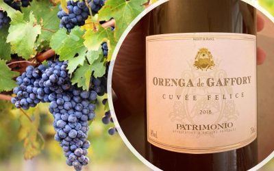 Domaine Orenga de Gaffory – Felice Rouge 2018