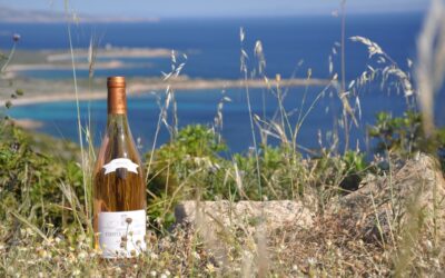 Domaine Comte Peraldi –  Rosé – 2022