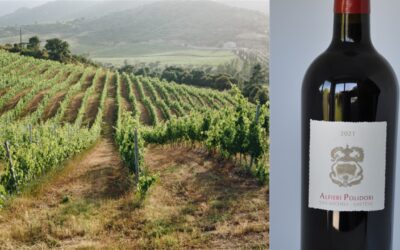 Domaine San Micheli  – Alfieri Polidori Rouge 2021