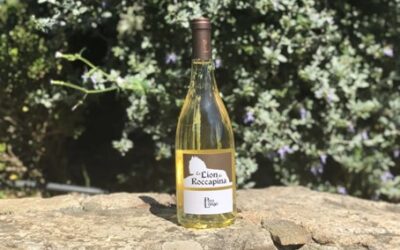 Domaine Pero Longo – Le lion de Roccapina Blanc 2021