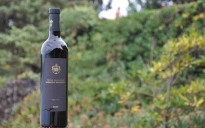 Château Prince Pierre Napoléon Bonaparte – Rouge 2020