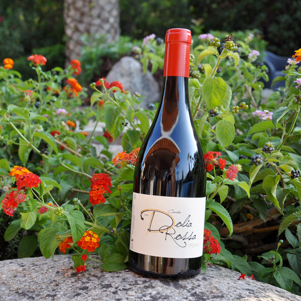 dolia rossa vin rouge corse