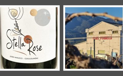 Clos Fornelli Corse Stella Rose Blanc 2020