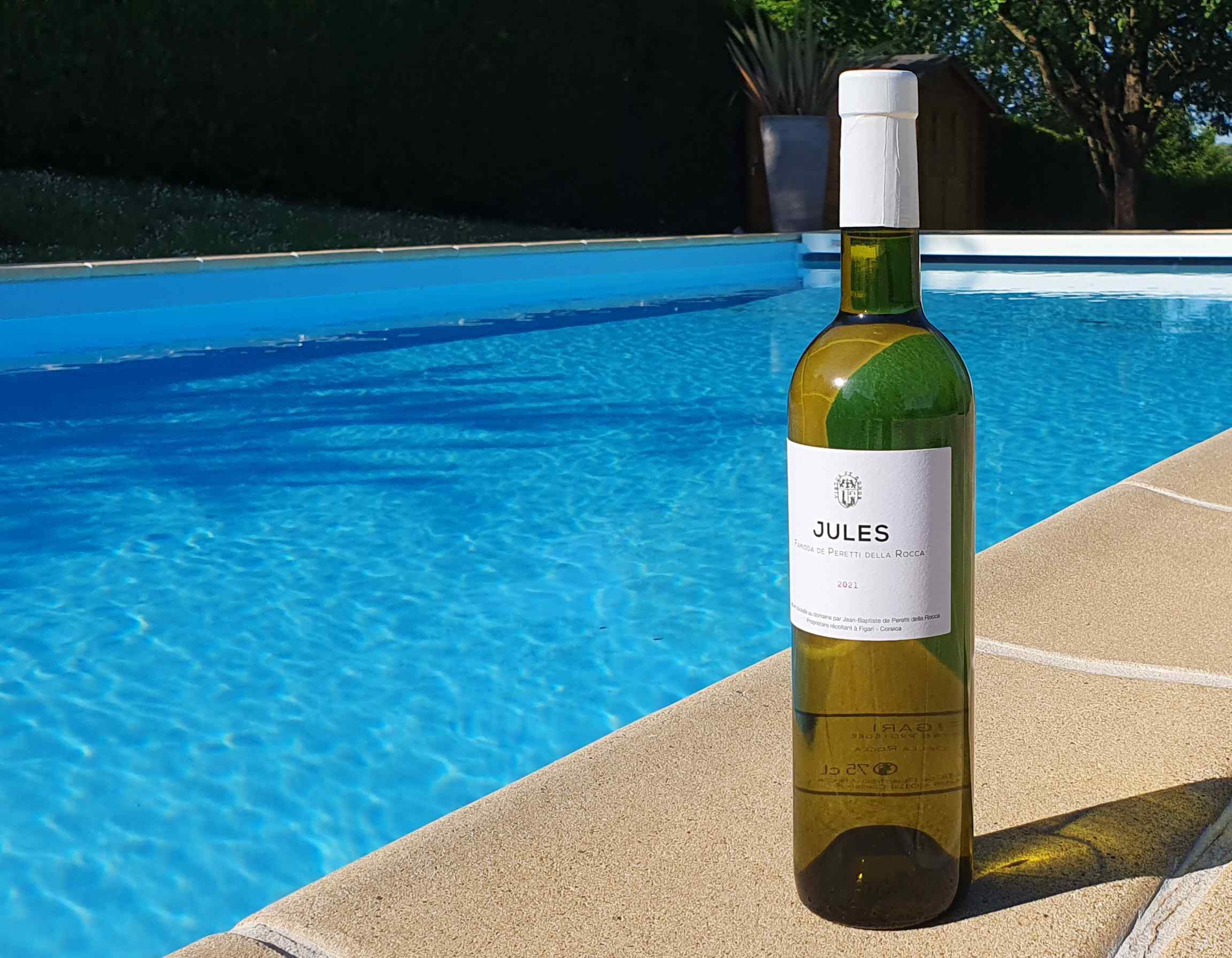 FAMIDDA JULES BLANC