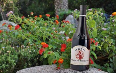 Domaine de Torraccia Porto-Vecchio  Oriu Rouge 2016