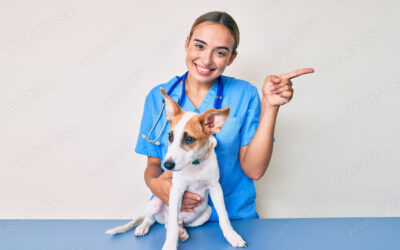 Tantos quanti ex universa philosophia percipi