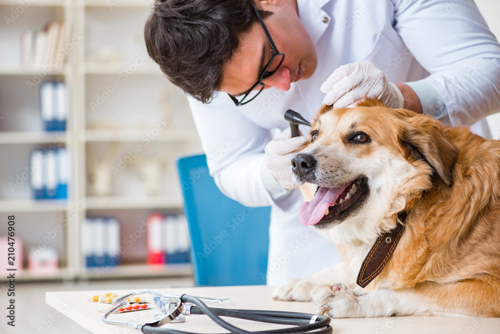 Tantos quanti ex universa philosophia percipi